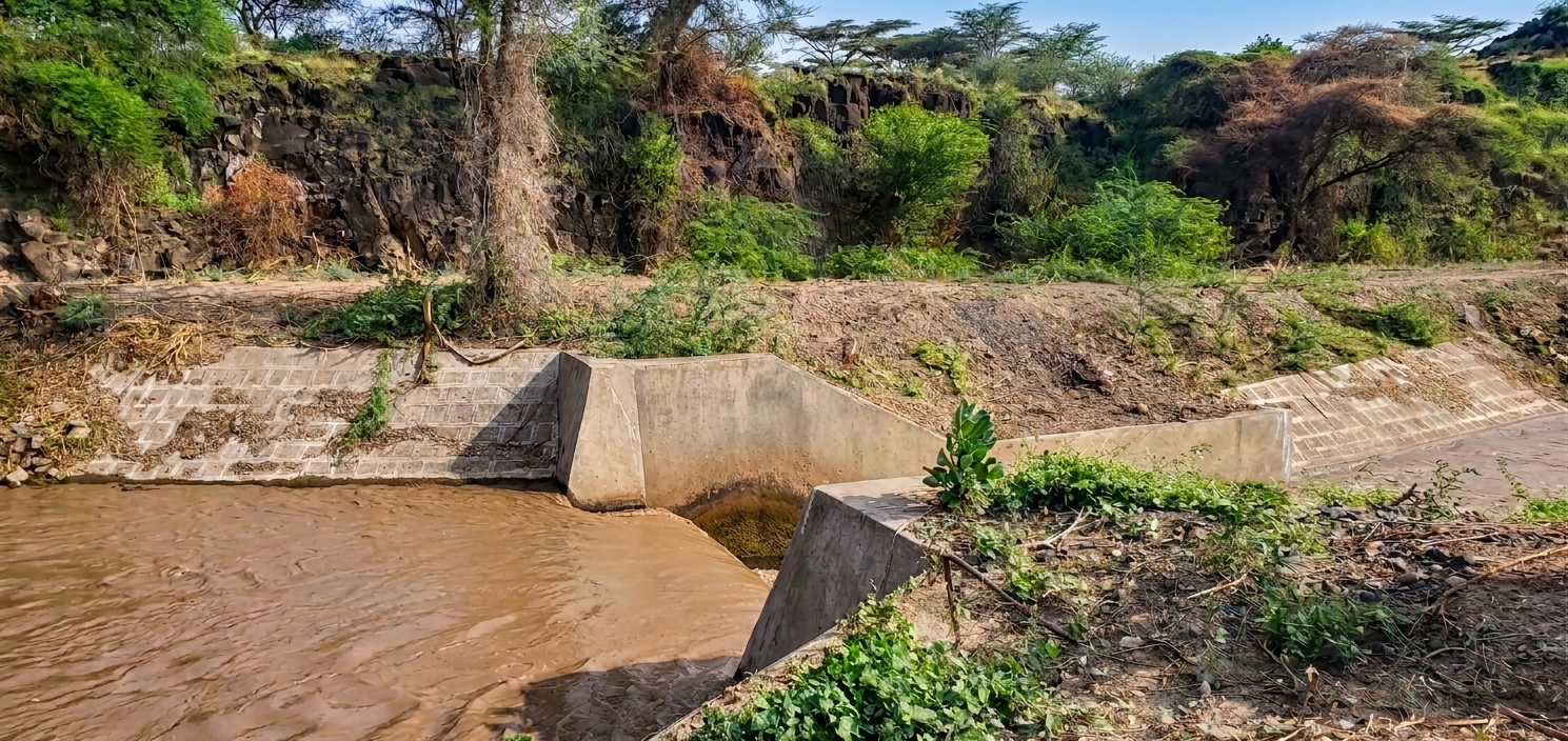 Tendaho Dam & Irrigation Infrastructure Rehabilitation & Remaining Works - Maintenance of Canals under PC-5, PC-6 and PC-7