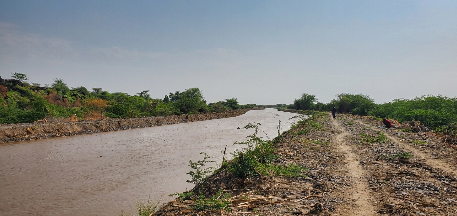 Tendaho Dam & Irrigation Infrastructure Rehabilitation & Remaining Works - Maintenance of Canals under PC-5, PC-6 and PC-7
